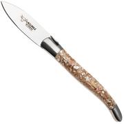 Image pour Laguiole en Aubrac Trocha Shell, couteau à huîtres