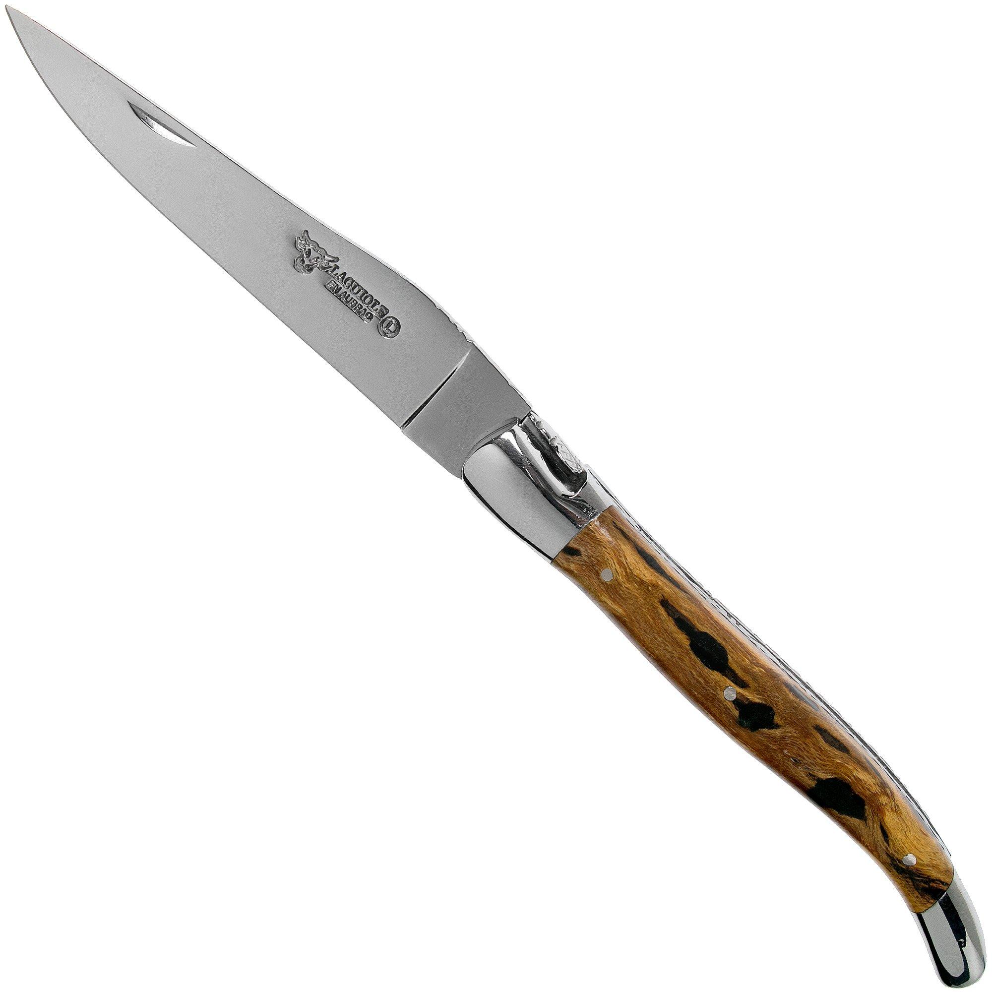 Nóż Laguiole en Aubrac 12 cm Double Plates, ręcznie szlifowany, kaktus, L0712CA51-FSI1