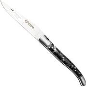 Afbeelding voor Laguiole en Aubrac Pearl Mussel and Abalone Shell, Brushed Stainless Steel, zakmes, 12 cm