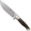 Image for Böker Arbolito Hunter 02BA351H hunting knife