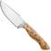 Afbeelding voor Böker Plus Overnighter 02BP0025 D2 Burl Wood, vaststaand mes