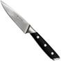Afbeelding voor Böker Forge schilmes 9 cm BO03BO505