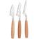 Afbeelding voor Boska Amigo Cheese Knife Set Small 306941 beukenhout, 3-delige kaasmessenset