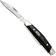Afbeelding voor Buck Cadet 0303BKS1 Satin 420HC, Black Synthetic Nickel Silver, zakmes