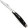 Image for Buck Cadet 0303BRS2-B, Satin 420HC, Ebony Wood, Nickel Silver pocket knife