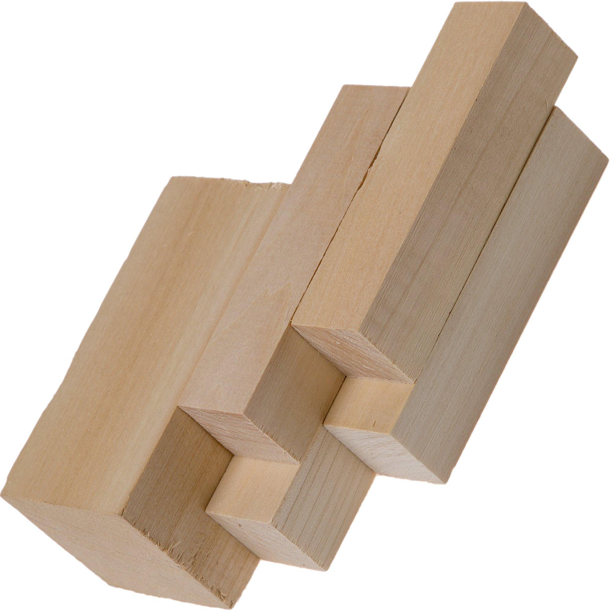 Beavercraft Guts Hout Houtsnijbewerking Set SC01 kopen