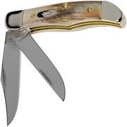 Case Pocket Hunter Genuine Stag, 5621, 52165 SS coltello da tasca
