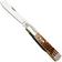 Bild für Case Razor Amber Bone, Peach Seed Jig, 10722, 62005RAZ Stainless Steel Taschenmesser