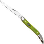 Case Medium Texas Toothpick 53031 Smooth Green Apple Bone 610094 SS, coltello da tasca