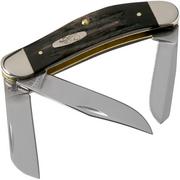 Case Sowbelly Jigged Buffalo Horn 65015, TBBH339 SS pocket knife