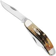 Case Sowbelly 65313 Case 6.5 BoneStag TB6.5339 SS pocket knife, Tony Bose design