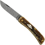 Case Sod Buser Jr 77461 Damascus Vintage Bone, pocket knife
