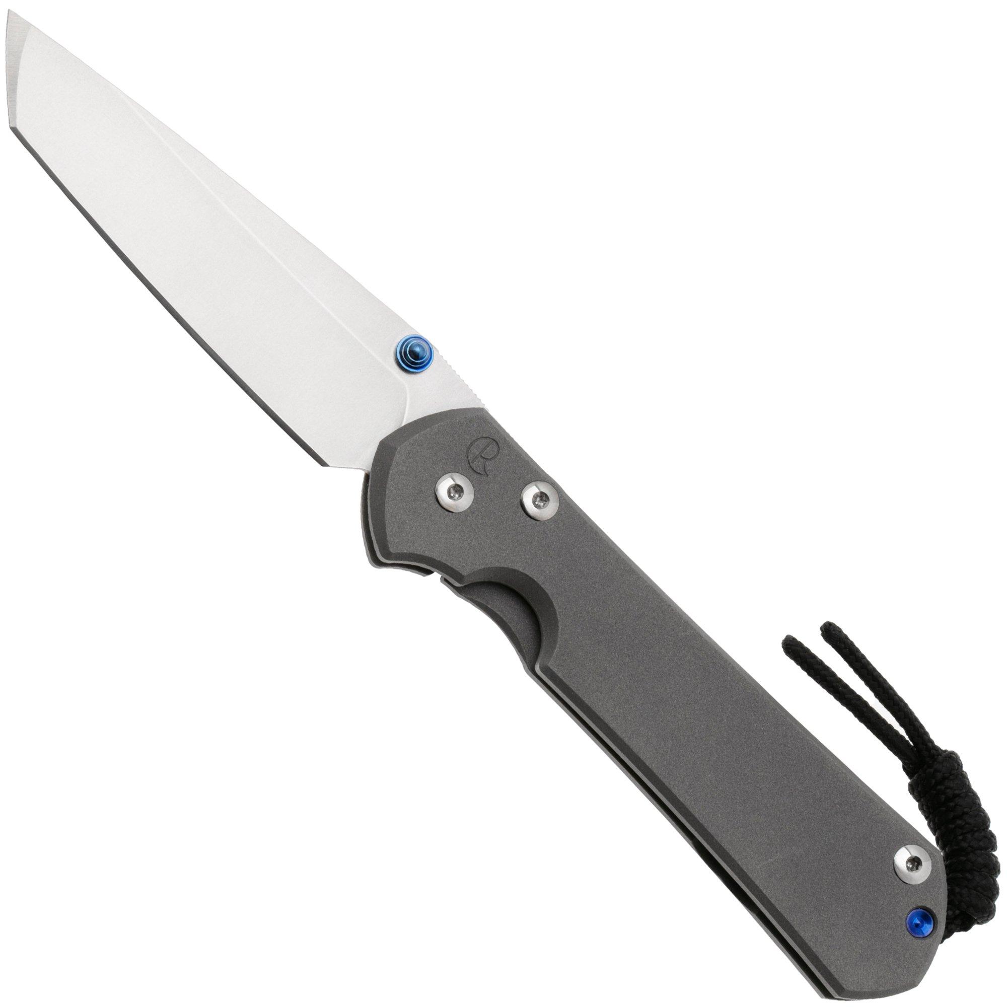 Chris Reeve L31-1010 Large Sebenza 31 Large Plain Tanto pocket knife