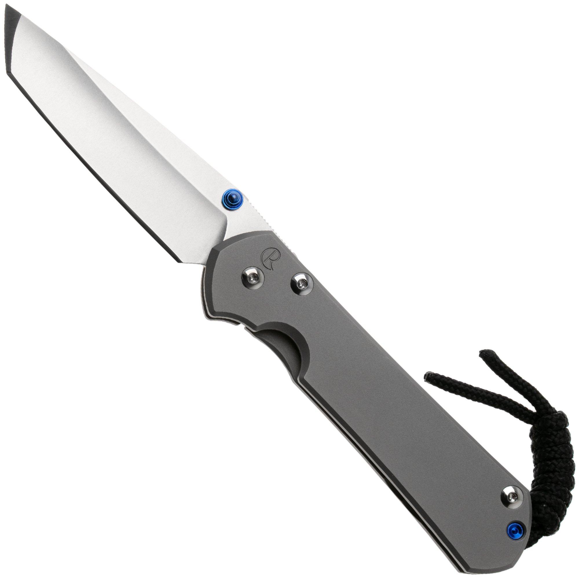Chris Reeve Sebenza 31 Small Plain Glass Blasted Tanto S31-1687 pocket knife