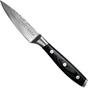 Image for Eden Classic Damast paring knife 9 cm