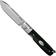 Image for Fallkniven GP Gentleman's Pocket knife, black micarta