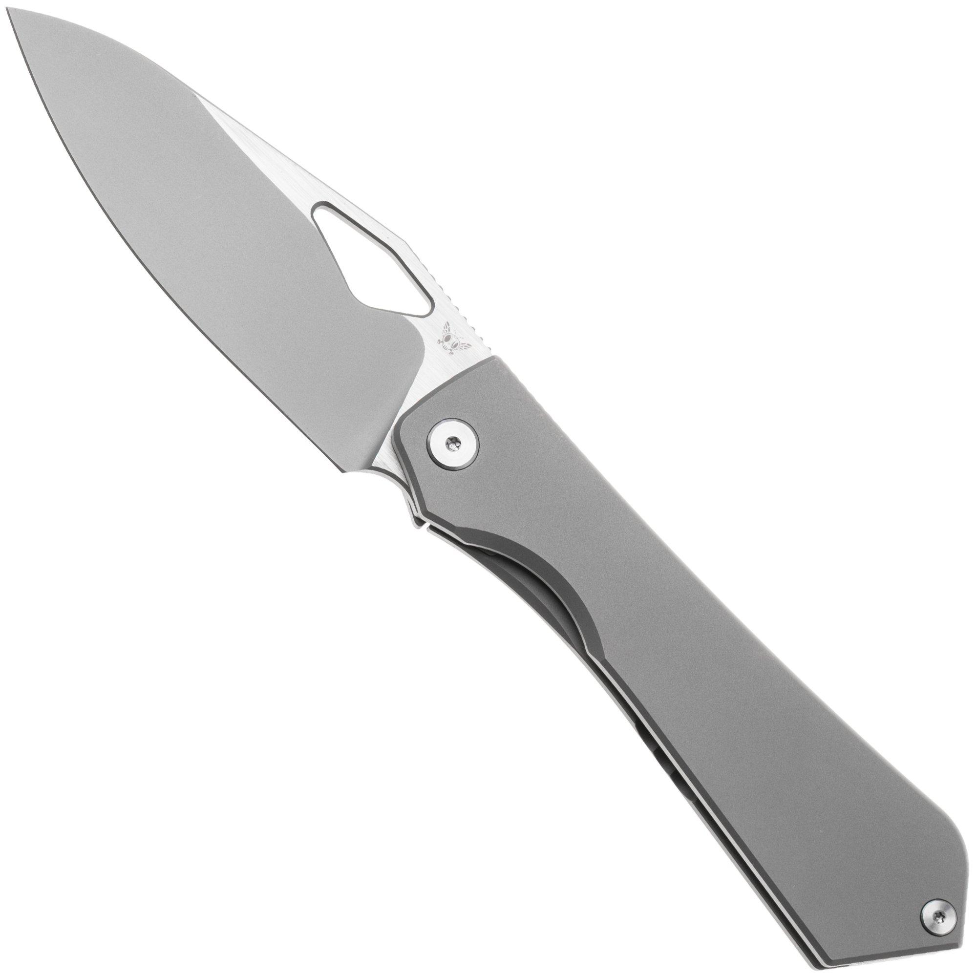 Flytanium Theory 1481S Satin 20CV, Bead Blasted Titanium, zakmes