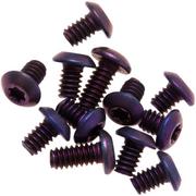 Flytanium Benchmade Bugout Screws Titanium, purple
