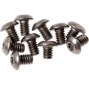 Flytanium Benchmade Bugout Screws Titanium, argento