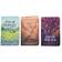 Afbeelding voor Field Notes National Parks FNC-43b Graph 3-Pack B Grand Canyon Joshua Tree Mount Rainier, notitieboekjes