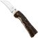 Afbeelding voor Fox Knives Spora Mushroom, Satin 12C27, Deer Horn champignonmes