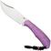 Afbeelding voor Jack Wolf Bordertown Bowie BORDE-01-TI-CRYS-P Belt Satin S90V, Titanium Crystalized Purple, vaststaand mes