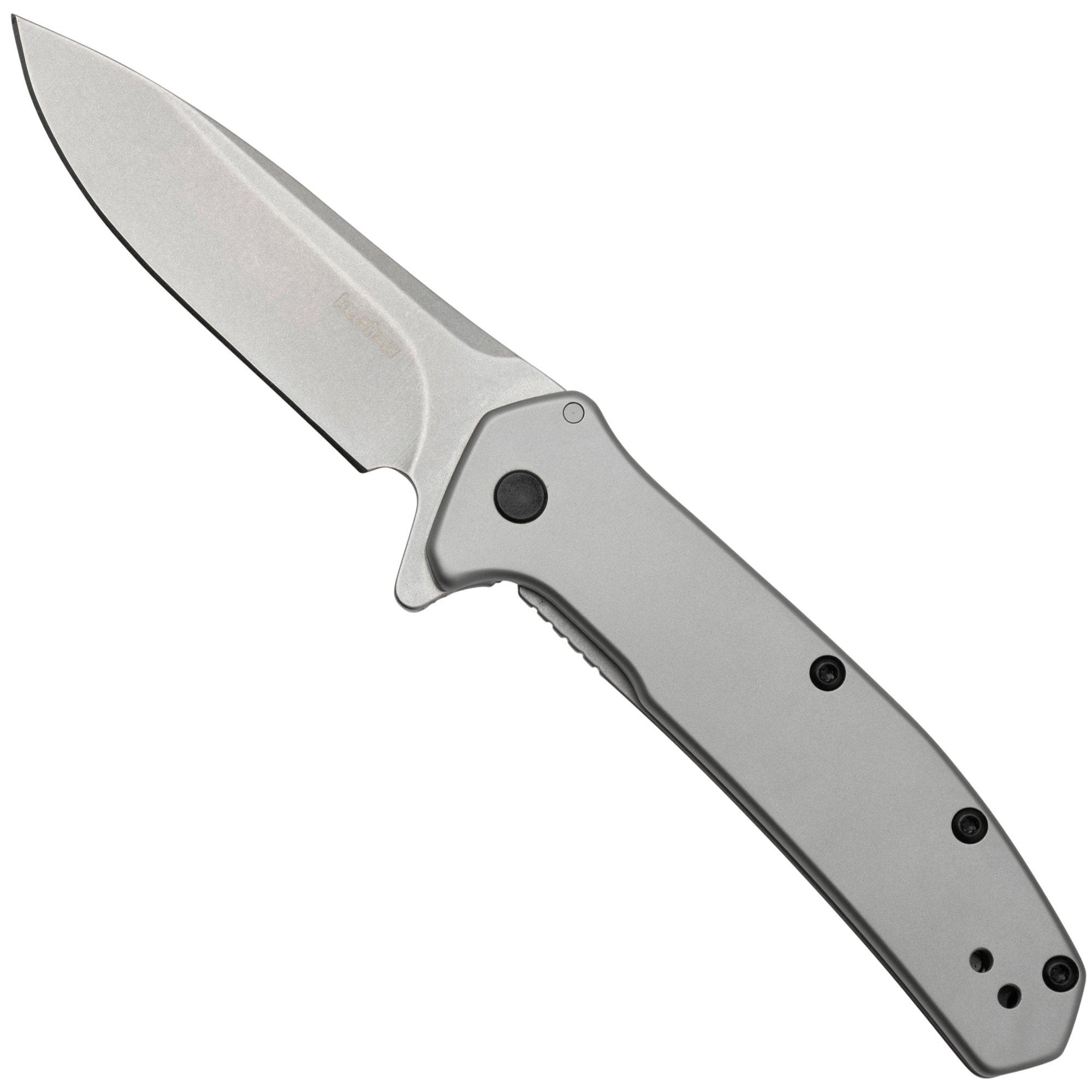 Kershaw Outcome 2044 Assisted Flipper Stainless Steel navalha