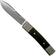 Image for LionSteel BestMan BM2 EB Ebony slipjoint pocket knife