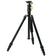 Afbeelding voor Nocs Provisions Aluminium Tripod Black 338862, statief