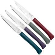 Opinel Bon Appetit+ 2197 Glam, set di coltelli da tavola, 4-pz