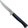 Image for Opinel Intempora boning knife no. 222, 13 cm