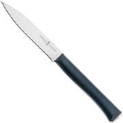 Opinel Intempora faca utilitária serrilhada No. 226, 10 cm