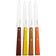 Afbeelding voor Opinel Bon Appetit 3270 Agrumes, 4-delige tafelmessenset