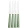Afbeelding voor Opinel Bon Appetit 3326 Sage, 4-delige tafelmessenset