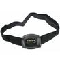 Bild für PrincetonTec Quad Tactical Black