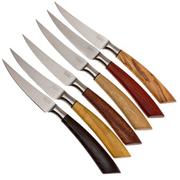 Saladini 6-delige juego de cuchillos para carne 23 cm, set regalo