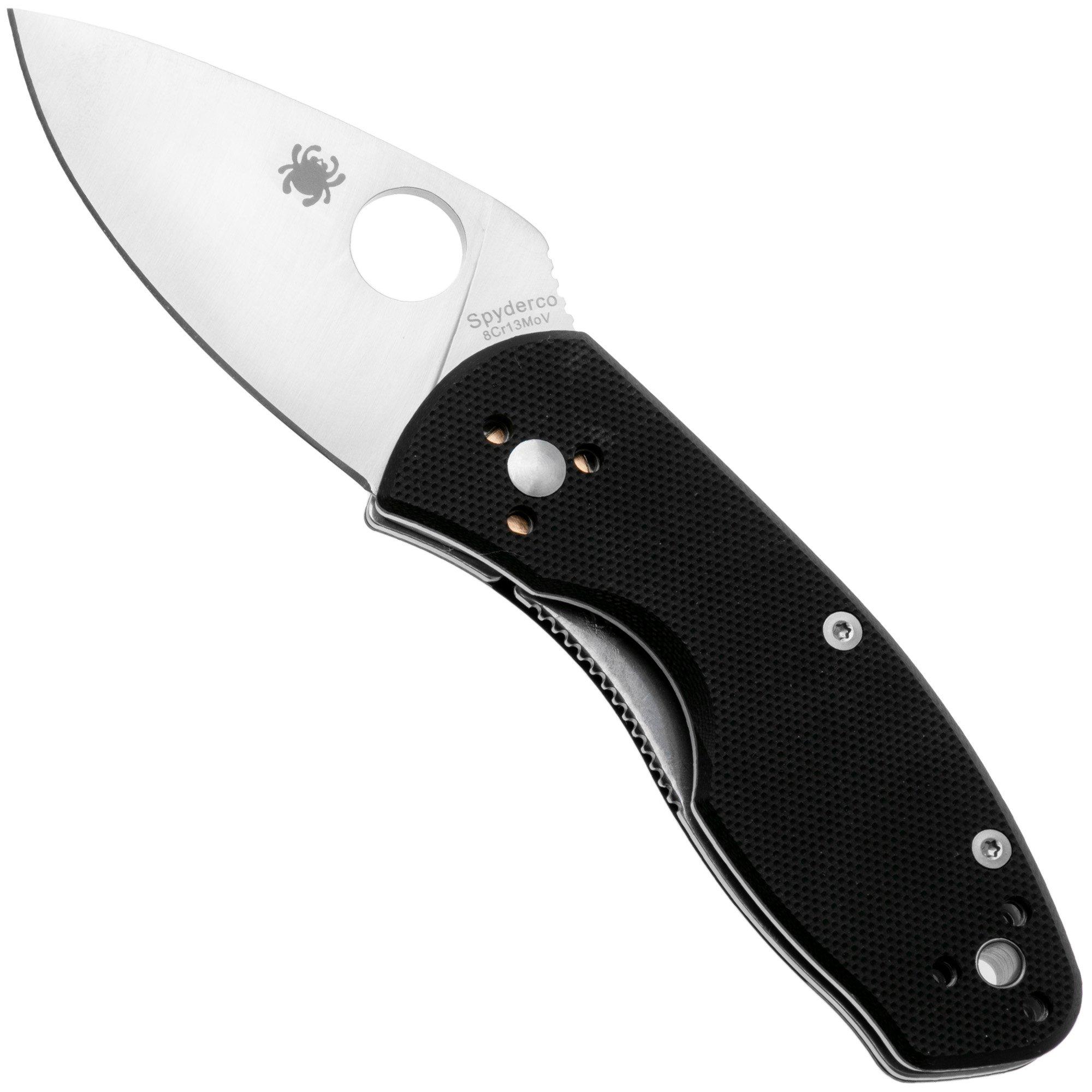 Spyderco Ambitious C148GP pocket knife