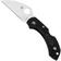 Afbeelding voor Spyderco Dragonfly 2 Wharncliffe C28FPWCBK2 zakmes