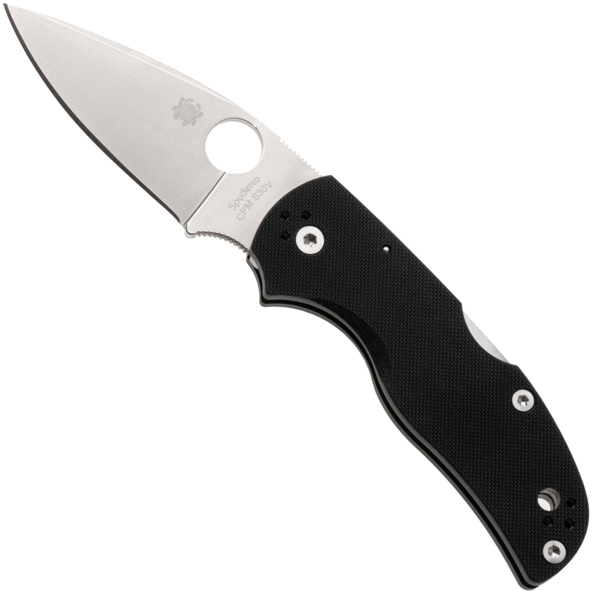 Spyderco Native 5 C41GP5 Taschenmesser