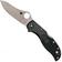Image pour Spyderco Stretch 2 C90PBK2 couteau de poche