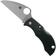 Image pour  Spyderco Manbug Wharncliffe MBKWP couteau de poche