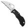 Image pour Spyderco Manbug Wharncliffe MBKWS couteau de poche dentelé