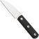 Afbeelding voor Straightline Ally AL-TBK Satin M390, PVD Titanium, vaststaand mes