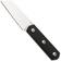Afbeelding voor Straightline Erny ER-TBK Satin M390, PVD Titanium, vaststaand mes