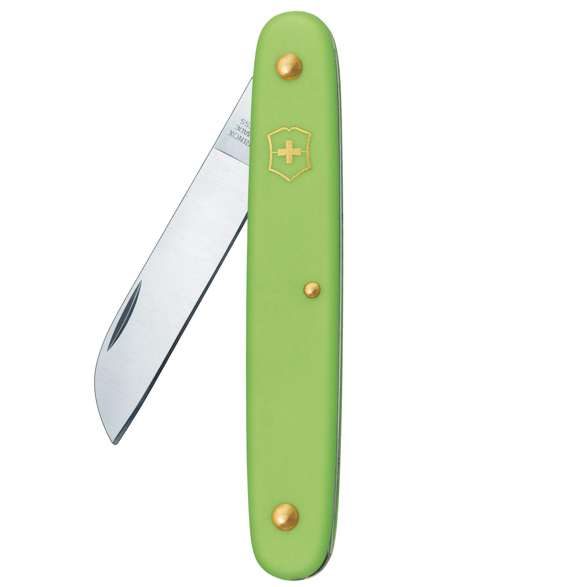 Victorinox Blumenmesser 3.9050.47B1 grün