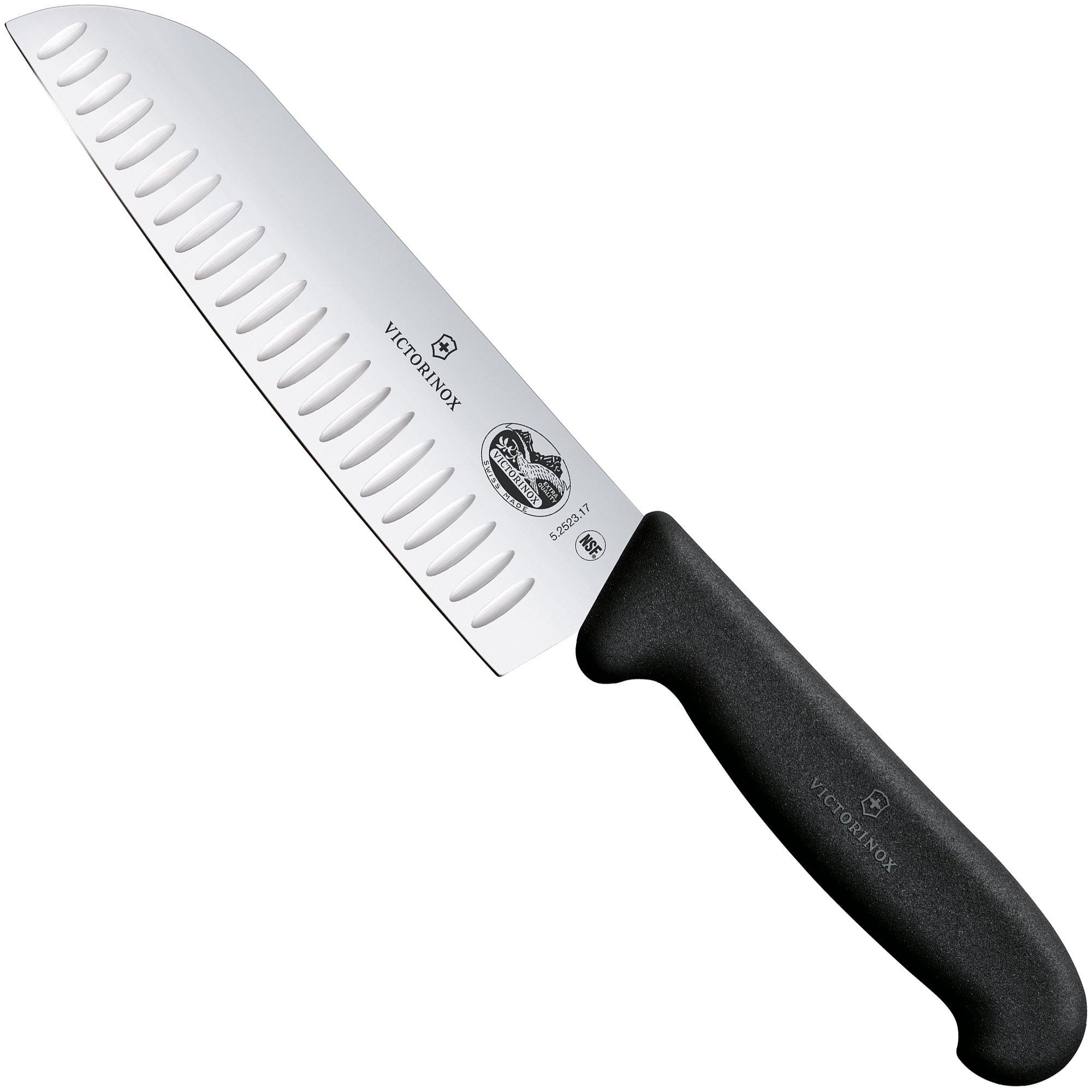 Victorinox Fibrox couteau de boucher 25 cm, 5-7403-25