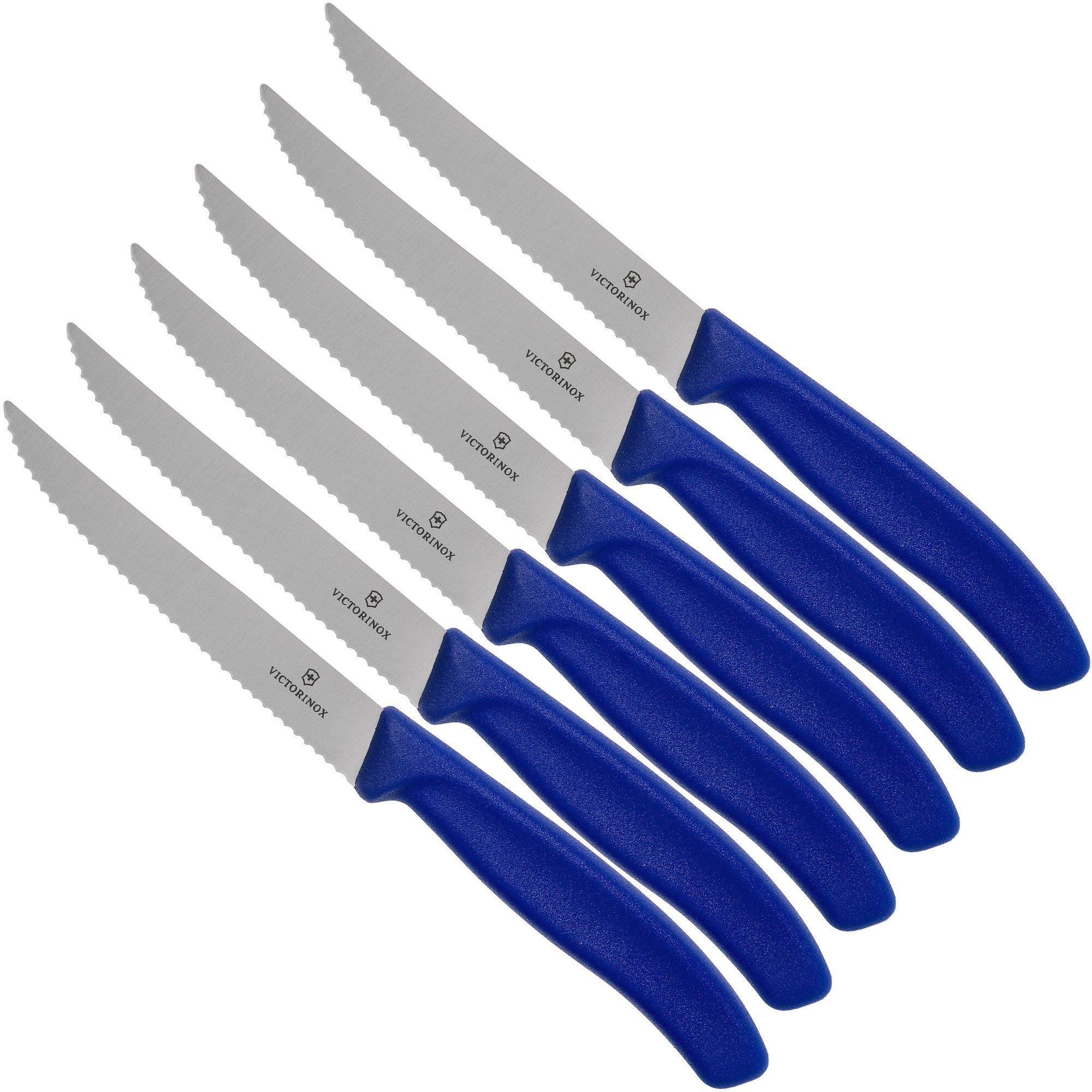 Victorinox Swiss Classic 6 Piece Steak Knife Set, Serrated, Spear Tip,  Nylon Handles (Old Sku 47650) - KnifeCenter - 5.1233.20-X1 - Discontinued