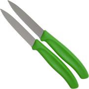 Victorinox SwissClassic dentado cuchillo de verduras verde 8 cm, Set de 2 VT6-7636-L114B