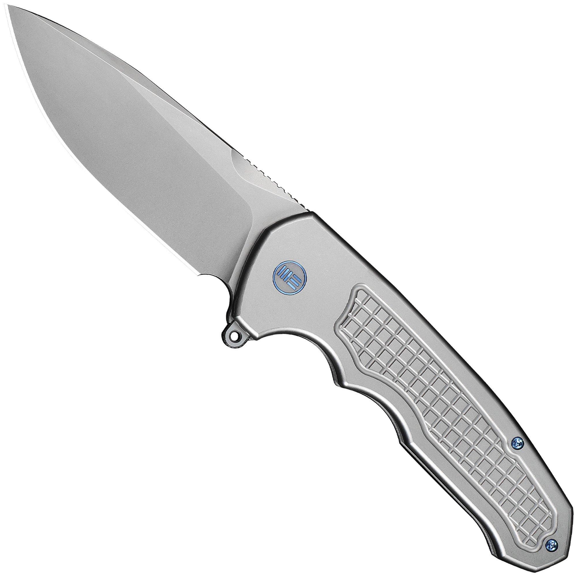 WE Knife Starlash WE23011C-2 Stonewashed Böhler M390, Gray Titanium, pocket knife