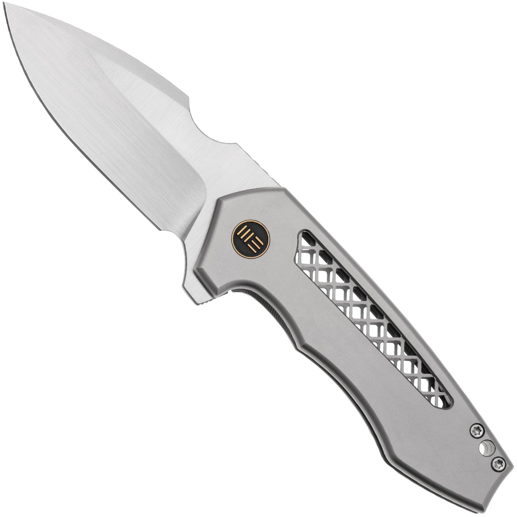 WE Knife Harpen WE23019-4 Gray Titanium, zakmes, Michael Burch design